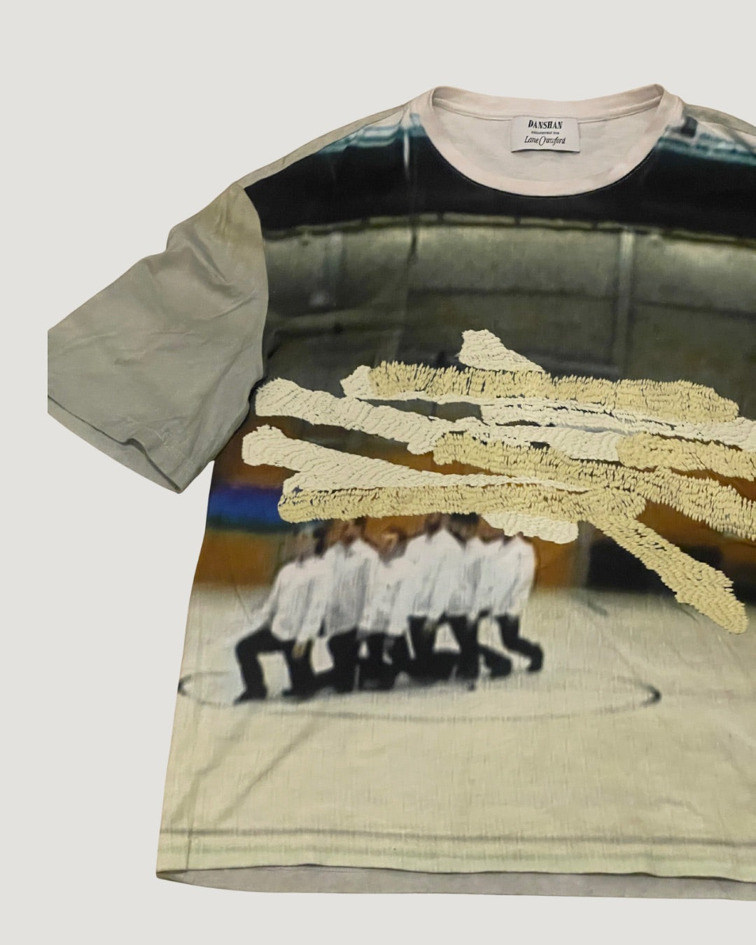 DANSHAN Print Tee Embroided