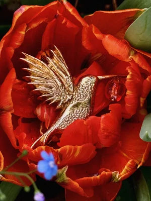 Broche Colibri